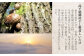時短！水戻りしやすい！高千穂郷産干ししいたけ