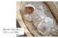 【日本製】春夏生まれの出産準備6点セット 〔カラー：ホワイト〕 日本製 ベビー服 PUPO A-90