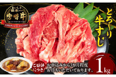 宮崎牛 牛すじ1kg 牛すじ 牛肉 肉 牛 宮崎牛 牛筋 煮込み料理 ご家庭 おかず おでん カレー 宮崎県 高千穂町 _Tk024-017