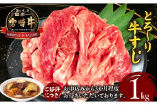 宮崎牛 牛すじ1kg 牛すじ 牛肉 肉 牛 宮崎牛 牛筋 煮込み料理 ご家庭 おかず おでん カレー 宮崎県 高千穂町 _Tk024-017