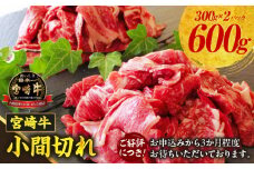 宮崎牛 こま切れ600g ふるさと納税 牛肉 肉 お肉 精肉 挽肉 小間切れ 国産牛 和牛 ブランド牛 贈答 贈り物 ギフト グルメ お取り寄せ 炒め物 料理 アレンジ 牛丼 野菜炒め 肉豆腐 普段使い BBQ 宮崎県 高千穂町 _Tk024-018