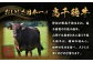 高千穂牛ローストビーフ 200g  A131