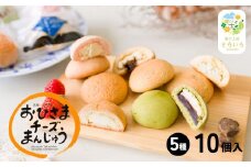 そらいろチーズまんじゅう5種10個入 | チーズ饅頭 まんじゅう お菓子 菓子 和菓子 洋菓子 デザート スイーツ 黒糖 いちご あんこ 手土産 おすそ分け 贈答 贈答用 贈り物 ギフト プレゼント 個装 個包装 個別包装 銘菓 おもてなし 宮崎県 高千穂町 |_Tk022-013
