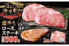 宮崎牛霜降り（ロース）ステーキ250g×2枚 計500g| 宮崎牛 牛肉 お肉 国産牛 ブランド牛 和牛 ロースステーキ ロース ステーキ 霜降り 贈答用 贈答 贈り物 プレゼント 記念日 誕生日 内祝い グルメ BBQ 焼き肉 アウトドア ミヤチク お祝い ホームパーティー おもてなし |_Tk031-013
