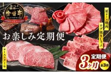 【3か月定期便】宮崎牛お楽しみ定期便|  牛肉 肉  3回 ロース ステーキ ウデ スライス 肩ロース 焼肉 サシ 霜降り ブランド牛 国産牛 和牛 グルメ お取り寄せ 贈り物 ギフト 贈答 プレゼント アウトドア キャンプ バーベキュー BBQ グランピング  |_Tk031-t019