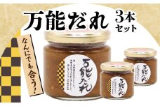 万能だれ3本セット | 白長ねぎ 調味料 調味 薬味 万能調味料 ごはんのお供 おつまみ つまみ おかず お弁当 高千穂町産 国産 特産 特産品 加工品 加工食品 グルメ 贈答 贈り物 ギフト プレゼント お祝い 内祝い 普段使い お取り寄せ 宮崎県 高千穂町 | _Tk050-008