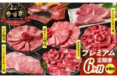 【6か月定期便】宮崎牛プレミアム定期便| 牛肉 肉 肩ロース モモ スライス ロース ロースステーキ ステーキ ウデ 焼肉 ヒレ ヒレステーキ 宮崎牛 赤身 霜降り 料理 アウトドア キャンプ バーベキュー BBQ 贈り物 贈答 ギフト 柔らかい パーティー プレゼント ギフト クリスマス お正月 |_Tk031-t020