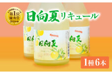 宮崎県産日向夏みかん使用 日向夏リキュール　300ml×6本セット | 日向夏みかん フルーツ酒 宮崎県産日向夏みかん お酒 酒 アルコール 飲み会 宅飲み リキュール 贈答 贈り物 ギフト プレゼント 国産 |_Tk023-019-h