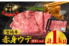 宮崎牛赤身（ウデ）焼きしゃぶ1kg | 牛肉 ブランド牛 和牛 赤身 ウデ肉 ウデ 焼きしゃぶ しゃぶしゃぶ すき焼き 贈答用 贈答 贈り物 ギフト 記念日 誕生日 炒め物 惣菜 おかず 内閣総理大臣賞4大会連続受賞 ミヤチク アウトドア キャンプ バーベキュー BBQ グランピング プレゼント |_Tk031-015-01	
