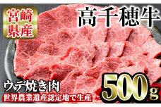 高千穂牛 ウデ焼き肉(500g)国産 宮崎県産 宮崎牛 牛肉 焼肉 ウデ肉 霜降り A4 和牛 ブランド牛  【MT001】【JAみやざき 高千穂牛ミートセンター】