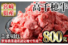 高千穂牛 こま切れ(800g)国産 宮崎県産 宮崎牛 牛肉 炒め物 切り落とし 霜降り A4 和牛 ブランド牛  【MT002】【JAみやざき 高千穂牛ミートセンター】