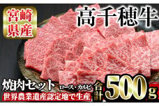 高千穂牛 焼き肉セット(ロース・カルビ各250g) 国産 宮崎県産 宮崎牛 牛肉 焼肉 ロース カルビ 霜降り A4 和牛 ブランド牛【MT010】【JAみやざき 高千穂牛ミートセンター】