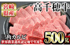 高千穂牛 三角カルビ(500g)国産 宮崎県産 宮崎牛 牛肉 焼肉 カルビ 霜降り A4 和牛 ブランド牛【MT012】【JAみやざき 高千穂牛ミートセンター】