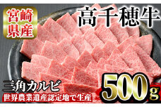 高千穂牛 三角カルビ(500g)国産 宮崎県産 宮崎牛 牛肉 焼肉 カルビ 霜降り A4 和牛 ブランド牛【MT012】【JAみやざき 高千穂牛ミートセンター】