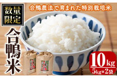 ＜先行予約受付中！2025年11月より順次発送予定＞＜ 新米 ・ 令和7年産 ＞＜数量限定＞ 合鴨 米 (5kg×2袋) 白米 精米 国産 ご飯 アイガモ 合鴨農法 10kg お米 ごはん【MU027】【日之影町村おこし総合産業(株)】