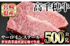 高千穂牛 サーロインステーキ(250g×2枚)国産 宮崎県産 宮崎牛 牛肉 ステーキ サーロイン 霜降り A4 和牛 ブランド牛【MT013】【JAみやざき 高千穂牛ミートセンター】