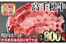 高千穂牛 焼き肉セット(ロース・カルビ各400g)国産 宮崎県産 宮崎牛 牛肉 焼肉 ロース カルビ 霜降り A4 和牛 ブランド牛【MT014】【JAみやざき 高千穂牛ミートセンター】