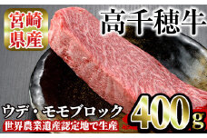 高千穂牛 ウデ・モモブロック(400g) 国産 宮崎県産 宮崎牛 牛肉 煮込み料理 肉厚 焼肉 霜降り A4 和牛 ブランド牛 【MT007】【JAみやざき 高千穂牛ミートセンター】
