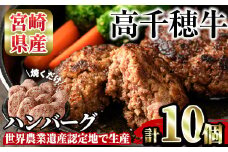 高千穂牛 ハンバーグ(計10個・2個×5P)国産 宮崎県産 宮崎牛 牛肉 ハンバーグ 焼くだけ 便利 霜降り A4 和牛 ブランド牛【MT005】【JAみやざき 高千穂牛ミートセンター】