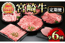 ＜定期便・6回(連続)＞宮崎牛・定期便B(6ヶ月)国産 宮崎県産 宮崎牛 牛肉 ステーキ 焼肉 A4 肩ロース ウデ ロース ヒレ【MI003】【(株)ミヤチク宮崎加工センター】