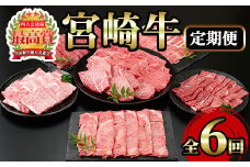 ＜定期便・6回(連続)＞宮崎牛・定期便A(6ヶ月)国産 宮崎県産 宮崎牛 牛肉 ステーキ 焼肉 A4 和牛 モモ肉 ウデ肉 肩ロース【MI002】【(株)ミヤチク宮崎加工センター】