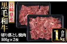 宮崎県産 黒毛和牛 切落し 焼肉(計1kg・500g×2)国産 宮崎県産 黒毛和牛 牛肉 炒め物 和牛 切り落とし【MI019】【(株)ミヤチク宮崎加工センター】