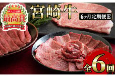＜定期便・6回(連続)＞宮崎牛・定期便E(6ヶ月)国産 宮崎県産 宮崎牛 牛肉 ステーキ 焼肉 すき焼き しゃぶしゃぶ 炒め物 霜降り【MI025】【(株)ミヤチク宮崎加工センター】