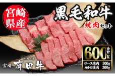 宮崎黒毛和牛焼肉セット(ロース・カルビ各300g)国産 宮崎県産 黒毛和牛 ロース カルビ 焼肉 霜降り 和牛 有田牛【AR005】【(有)有田牧畜産業 食肉加工センター】