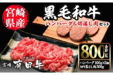 宮崎黒毛和牛ハンバーグと切落しの2種セット(ハンバーグ100g×5個・切落し300g)国産 宮崎県産 黒毛和牛 ハンバーグ 小分け【AR002】【(有)有田牧畜産業 食肉加工センター】