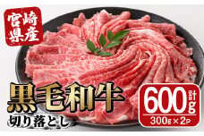 宮崎県産黒毛和牛切り落とし(600g・300g×2P) モモ カタ バラ 国産 牛肉 こま肉 精肉 宮崎県産牛 お肉 黒毛和牛 おにく お取り寄せ【SJ009】【日本ハムマーケティング株式会社】