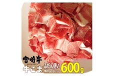 宮崎牛こま(600g・300g×2)牛肉 精肉 お肉 黒毛和牛 ブランド和牛 お取り寄せ 冷凍 国産 宮崎県【MS006】【株式会社マルミヤストア】