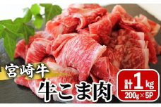 宮崎牛 牛こま(計1kg・200g×5) 牛肉 精肉 お肉 黒毛和牛 ブランド和牛 お取り寄せ 冷凍 国産 宮崎県 【MS006】【株式会社マルミヤストア】