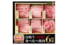 宮崎牛＜特選＞食べ比べ焼肉6種盛(合計600g) 牛肉 精肉 肉 ブランド和牛 お取り寄せ 国産 宮崎県【MS019】【株式会社マルミヤストア】