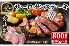 宮崎牛 サーロインステーキ(計800g・約200g×4枚)  牛肉 肉 ブランド牛  冷凍 国産 精肉 お取り寄せ 黒毛和牛 宮崎県 【LJ003】【ローカルブランディング株式会社】