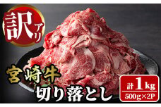 ＜訳あり＞宮崎牛 切り落とし(計1kg・500g×2P) 牛肉 肉 ブランド牛  冷凍 国産 精肉 お取り寄せ 黒毛和牛 宮崎県 【LJ005】【ローカルブランディング株式会社】