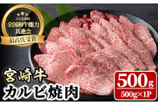 宮崎牛 カルビ焼肉(500g) 牛肉 肉 ブランド牛  冷凍 国産 精肉 お取り寄せ 黒毛和牛 宮崎県 【LJ010】【ローカルブランディング株式会社】