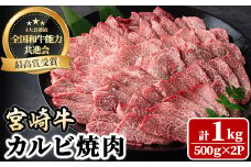宮崎牛 カルビ焼肉(1kg・500g×2P) 牛肉 肉 ブランド牛  冷凍 国産 精肉 お取り寄せ 黒毛和牛 宮崎県 BBQ【LJ011】【ローカルブランディング株式会社】