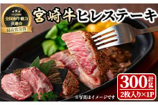 宮崎牛 ヒレステーキ(300g) 希少部位 BBQ 牛肉 肉 ブランド牛  冷凍 国産 精肉 お取り寄せ 黒毛和牛 宮崎県 【LJ013】【ローカルブランディング株式会社】