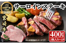 宮崎牛 サーロインステーキ(計400g・2枚) 希少部位 BBQ 牛肉 肉 ブランド牛  冷凍 国産 精肉 お取り寄せ 黒毛和牛 宮崎県 【LJ015】【ローカルブランディング株式会社】