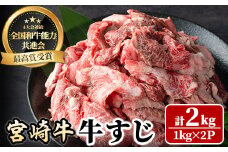 宮崎牛 牛すじ(計2kg・1kg×2P) 希少部位 BBQ 牛肉 肉 ブランド牛  冷凍 国産 精肉 お取り寄せ 黒毛和牛 宮崎県 【LJ017】【ローカルブランディング株式会社】