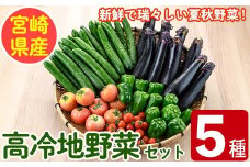 ＜数量限定・期間限定＞高千穂地区高冷地野菜詰め合わせ(5種) やさい きゅうり ピーマン トマト ミニトマト なす 茄子 冷蔵 季節 新鮮 旬 産地直送 【NK017】【宮崎県農業協同組合　高千穂地区本部】
