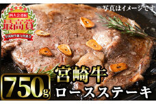 宮崎牛ロースステーキ(750g・3枚) 国産 宮崎県産 宮崎牛 牛肉 ステーキ A4 和牛 ブランド牛 ロース 【MI045】【(株)ミヤチク宮崎加工センター】