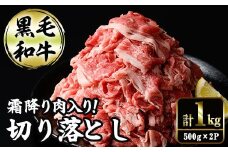 切り落とし和牛(500g×2P) 国産 宮崎県産 黒毛和牛 牛肉 こま切れ 小間切れ 炒めもの 霜降り 和牛 【AR011】【(有)有田牧畜産業 食肉加工センター】