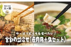 宮部の詰合せ（焼肉用＋鍋セット） | 肉 にく お肉 おにく 豚 豚肉 ぶた ポーク ホルモン 特ホル 塩ホル 焼肉 鍋 宮崎県 五ヶ瀬町