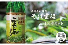 本格そば焼酎 そば雲海 12本セット | 飲料 酒 さけ お酒 おさけ アルコール 焼酎 そば焼酎 セット 宮崎県 五ヶ瀬町