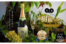 五ヶ瀬 スパークリング ワイン  樹樹 -JUJU-（ 白 ・ 甘口 ・ 発泡 タイプ ）| お酒 ワイン さけ 酒 アルコール 飲料 飲み物 宮崎 五ヶ瀬