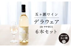 五ヶ瀬ワイン デラウェア（白・やや甘口）6本セット | 飲料 酒 さけ お酒 おさけ アルコール ワイン 白ワイン 宮崎県 五ヶ瀬町