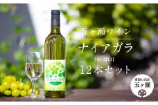 五ヶ瀬ワイン ナイアガラ（白・甘口）12本セット | 飲料 酒 さけ お酒 おさけ アルコール ワイン 白ワイン 宮崎県 五ヶ瀬町