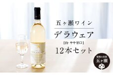 五ヶ瀬ワイン デラウェア（白・やや甘口）12本セット | 飲料 酒 さけ お酒 おさけ アルコール ワイン 白ワイン 宮崎県 五ヶ瀬町
