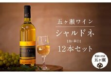 五ヶ瀬ワイン シャルドネ（白・辛口）12本セット | 飲料 酒 さけ お酒 おさけ アルコール ワイン 白ワイン 宮崎県 五ヶ瀬町